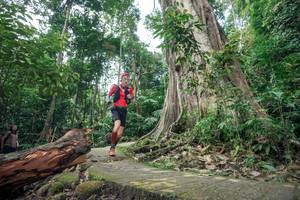 BIB: 
                            <button type="button" onclick="openModal(24809711)" class="btn btn-primary btn-sm float-right btn-popup" data-toggle="modal" data-target=".modal-high-quality">
                        <i class="fas fa-shopping-cart"></i> Add to Cart
                    </button>
                                            <button type="button" onclick="isThisMe(24809711, true)" class="btn btn-success btn-sm float-right btn-popup btn-isme hidden" data-toggle="tooltip" data-placement="bottom" title="นี่คือรูปของคุณใช่ไหม คลิกที่นี่เพื่อเอาเข้าอัลบั้ม">
                        <i class="fas fa-plus"></i> Add to album
                    </button>
                    <button type="button" onclick="isThisMe(24809711, false)" class="btn btn-warning btn-sm float-right btn-popup btn-isnotme hidden">
                        <i class="fas fa-ban"></i> Remove from album
                    </button>